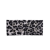 Gray Leopard